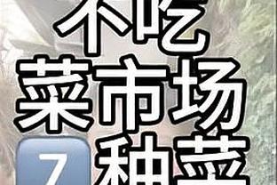 罗马vs亚特兰大首发：卢卡库、迪巴拉先发，佩莱格里尼出战